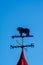 Weathervane in the form of a bear. Side of the world against the sky