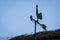 Weathervane silhouette of a rooster