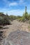 Weavers Needle Vista Viewpoint, Apache Junction, Arizona, United States