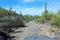 Weavers Needle Vista Viewpoint, Apache Junction, Arizona, United States