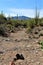 Weavers Needle Vista Viewpoint, Apache Junction, Arizona, United States