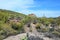 Weavers Needle Vista Viewpoint, Apache Junction, Arizona, United States