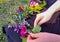 Weaving a flower garland for Midsummer Night Kupala Night IvanÐ° Kupala