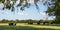 Web banner of Angus herd framed by branches