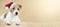 Web banner of a christmas holiday happy cute santa pet dog puppy with copy space