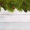 Web banner with natural pine branches with cones