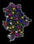 Web Carcass Map of Donetsk Republic with Shiny Light Spots
