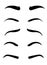Web Eyebrow shapes. Various types of eyebrows. Classic type and other. Trimming. Vector illustration