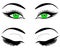 Web Green eyes of a woman or a girl. Black eyebrows, makeup, eyelashes. A set of open and closed eyes