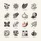 Web icon set - spices, condiments and herbs