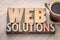 Web solutions word abstract in wood type
