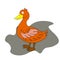 Web Vector illustration of a duck and ducklings. Farm bird duck in cartoon style.