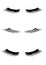 Web Vector realistic collection of false lashes.