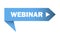 Webinar banner button. Blue online education icon. Live teacher symbol. Stock image