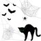 Webs, black cat and bats