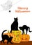 Webs, black cat and pumpkins