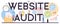 Website audit typographic header. Web page analysis of website`s visibility