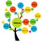 Website development tree