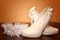 Wedding accessories bridesmaid shoes and garter