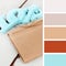 Wedding Accessories. color palette swatches. pastel hues