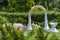 Wedding arch. Beautiful Ceremony