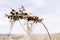 Wedding arch decorated with bright flowers and white macrame lace