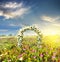 Wedding arch decorated with flowers of white roses at sunset field
