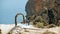 wedding arch on edge of a cliff