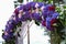 Wedding arch and grey chairs with peonies standing in ceremony a