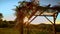 Wedding arrangement pan of canopy at sunset