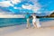 Wedding. Bbride and groom on the tropical coast at sunset