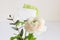 Wedding or birthday mock-up scene with floral bouquet of Persian buttercup, Ranunculus flower and eucalyptus leaves with