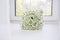 Wedding bouquet of chrysanthemum