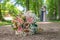 Wedding bouquet on foreground of a blurred kissing couple. Flowers and lovers