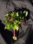 Wedding bouquet with green and withered leaf