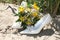 Wedding bouquet lies on the bride\'s shoes on the sand