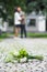wedding bouquet lying on pavement, white and green flower in bouquet, kissing couple in blurred background  banner copy space
