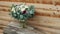 Wedding bouquet of natural roses in a beautiful wooden surface. eucalyptus