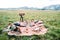 Wedding bouquet stands on a stool on a homespun colorful bedspread on the lawn