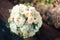 Wedding bouquet of white peonys and roses on a wooden background. wedding decoration
