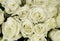 Wedding bouquet of White Rose