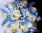 Wedding bouquet of white roses and light blue bows or ribbons