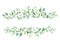 Wedding branches and leaves horizontal design banner. Rustic greenery. Mint, blue tones.