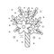 Wedding Bridal Bouquet Icon in Line Art