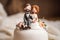 wedding cake topper, with bride and groom smiling down at the newlyweds