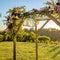 Wedding canopy with translucent cloth and flowers