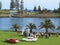 Wedding celebration at bay under palm trees in Australia