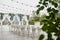 Wedding ceremony with arch, orchid flowers, chairs and bulb in forest outdoors, copy space. Wedding decoration