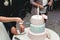 Wedding ceremony. the bride and groom make their first case together, cut the white wedding cake