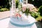 Wedding ceremony details in pink and blue. White wedding arch, natural flowers decorations, champagne glasses on green background.